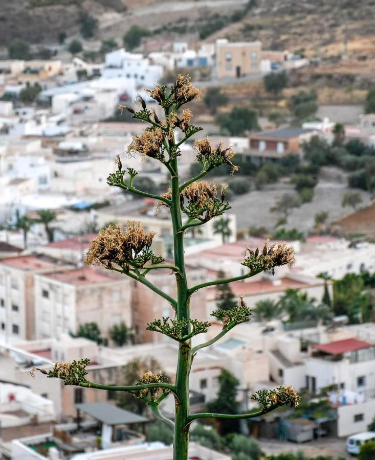 Nijar Bella Y Su Parque Natural Cabo De Gata 外观 照片